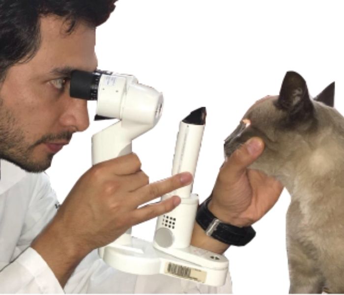 dr. ivan martinez examinando paciente