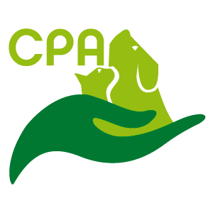 logo-icono-cpa