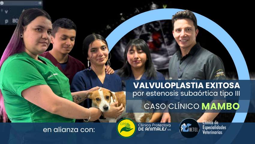 caso clínico mambo - valvuloplastia exitosa