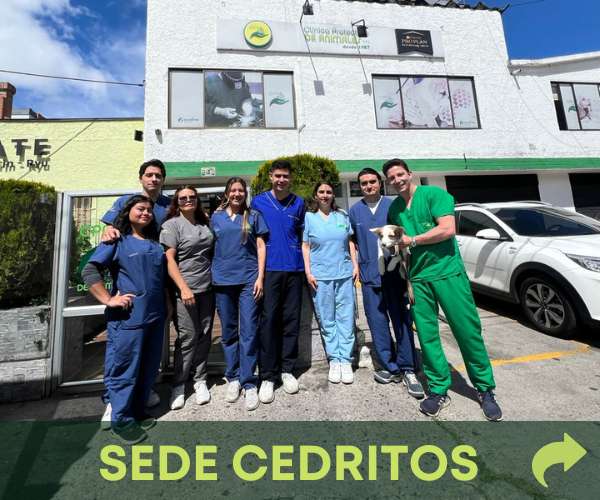 sede-cedritos