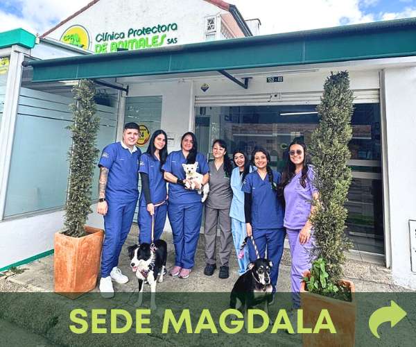 sede-magdala