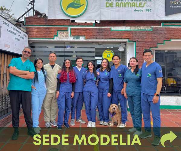 sede-modelia