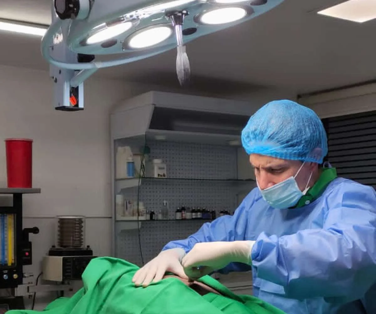 cardiologia-veterinaria-bogota-evaluacion-clinica veterinario realizando evaluacion clinica en cardiologia veterinaria en bogota