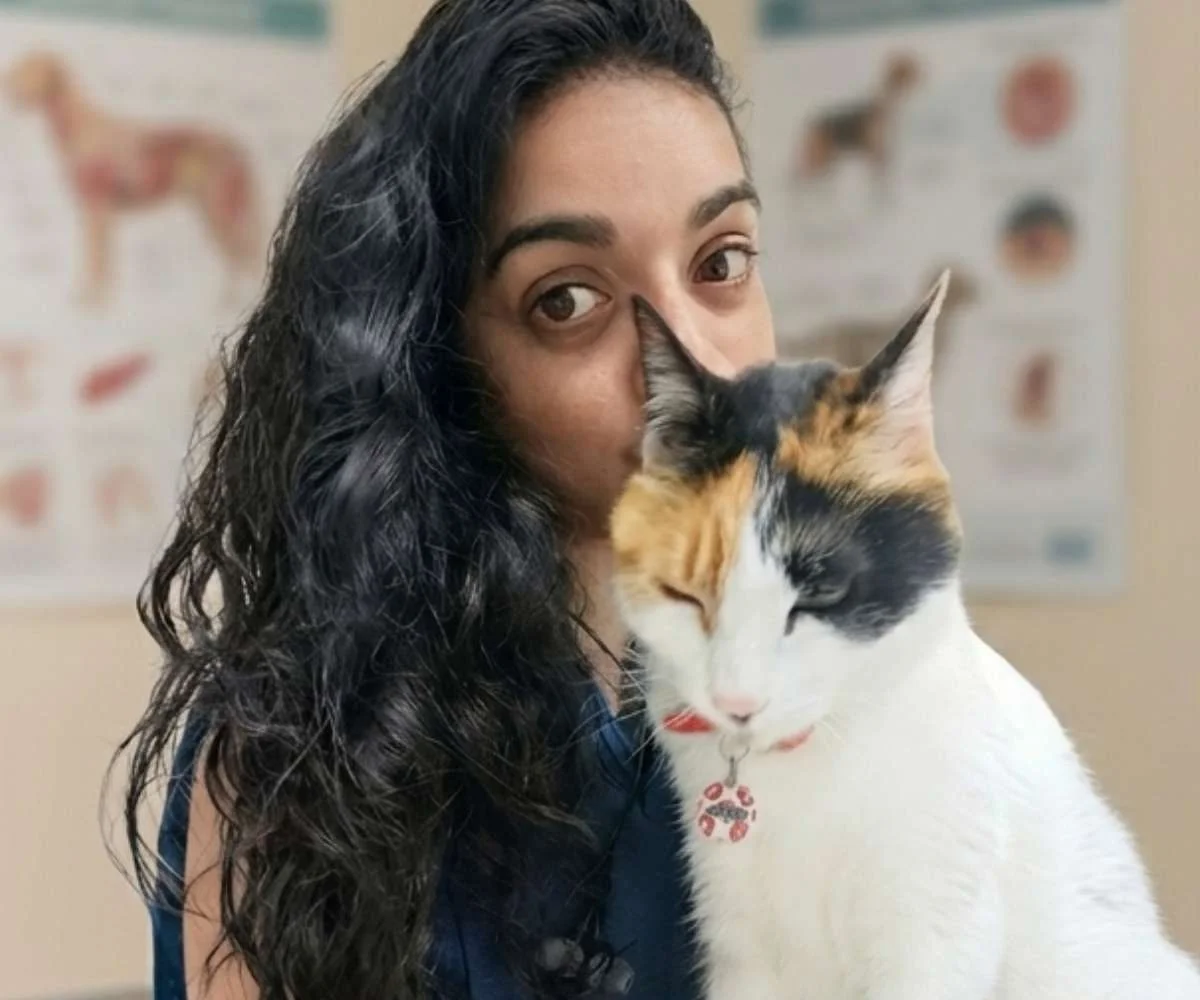 veterinaria revisando gato durante consulta veterinaria en bogota