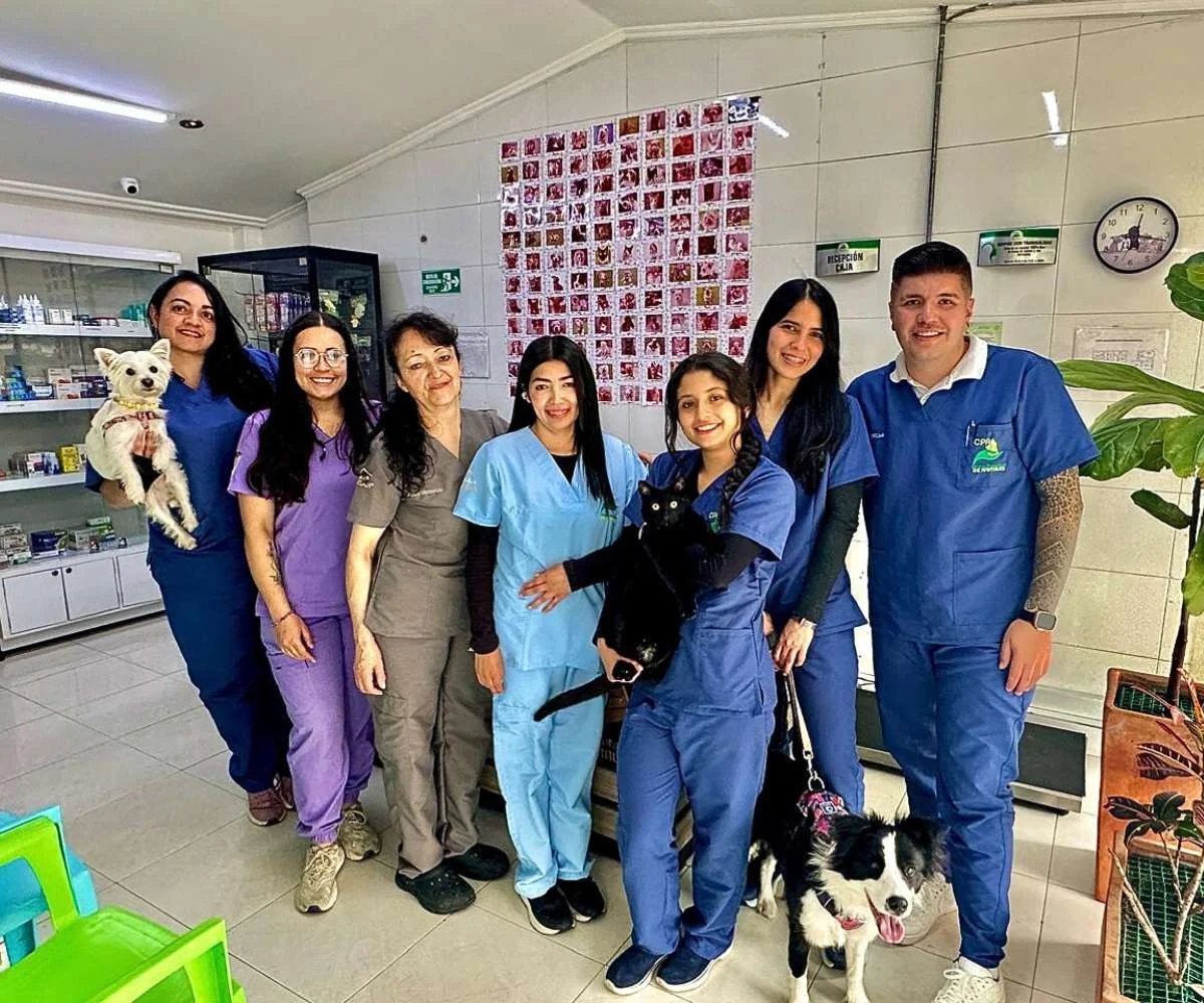Equipo veterinario de la sede Magdala de la Clínica Protectora de Animales en Bogotá