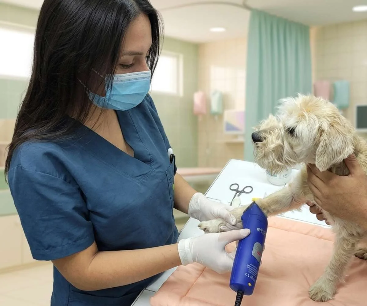 veterinario cuidando mascota hospitalizada con monitoreo en clínica veterinaria en Bogotá