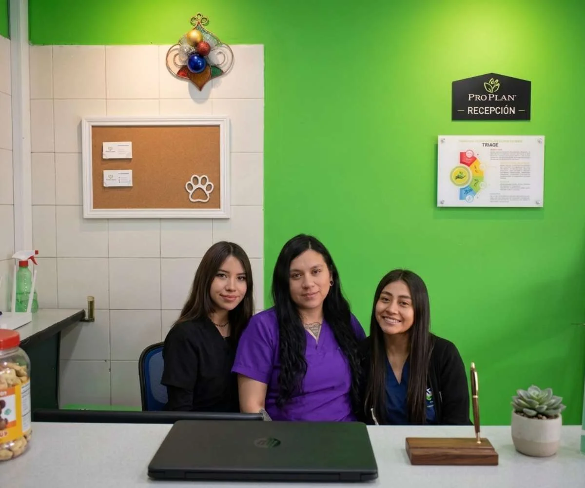 servicios-veterinarios-bogota-atencion-clinica equipo veterinario brindando atencion clinica en servicios veterinarios en bogota