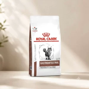 Royal Canin Gastrointestinal Gatos 2KG